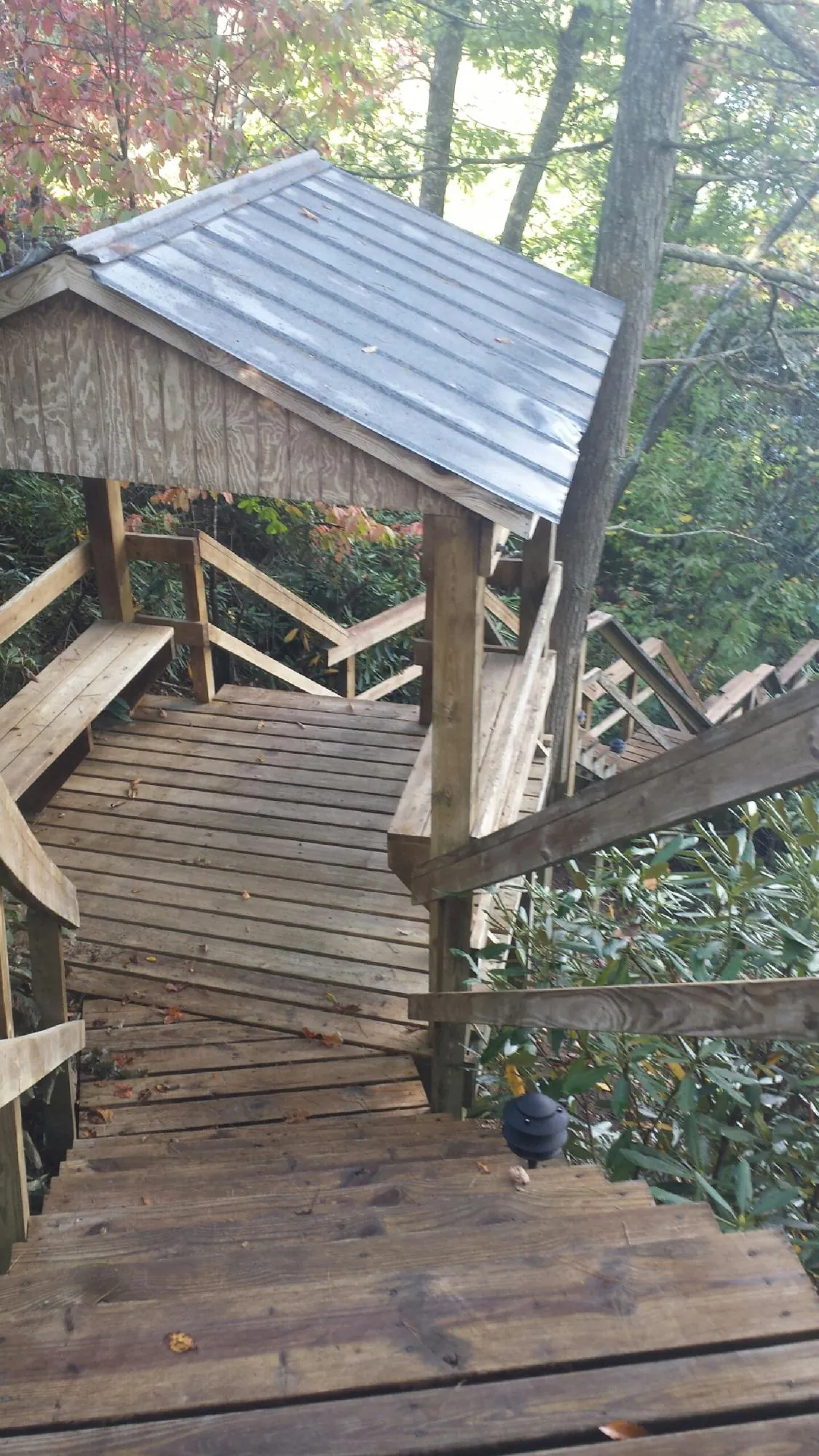 Metal roofed shelter over wooden steps on a wooded walkway — Skylight Repair & Installation work by our crew in Chimacum