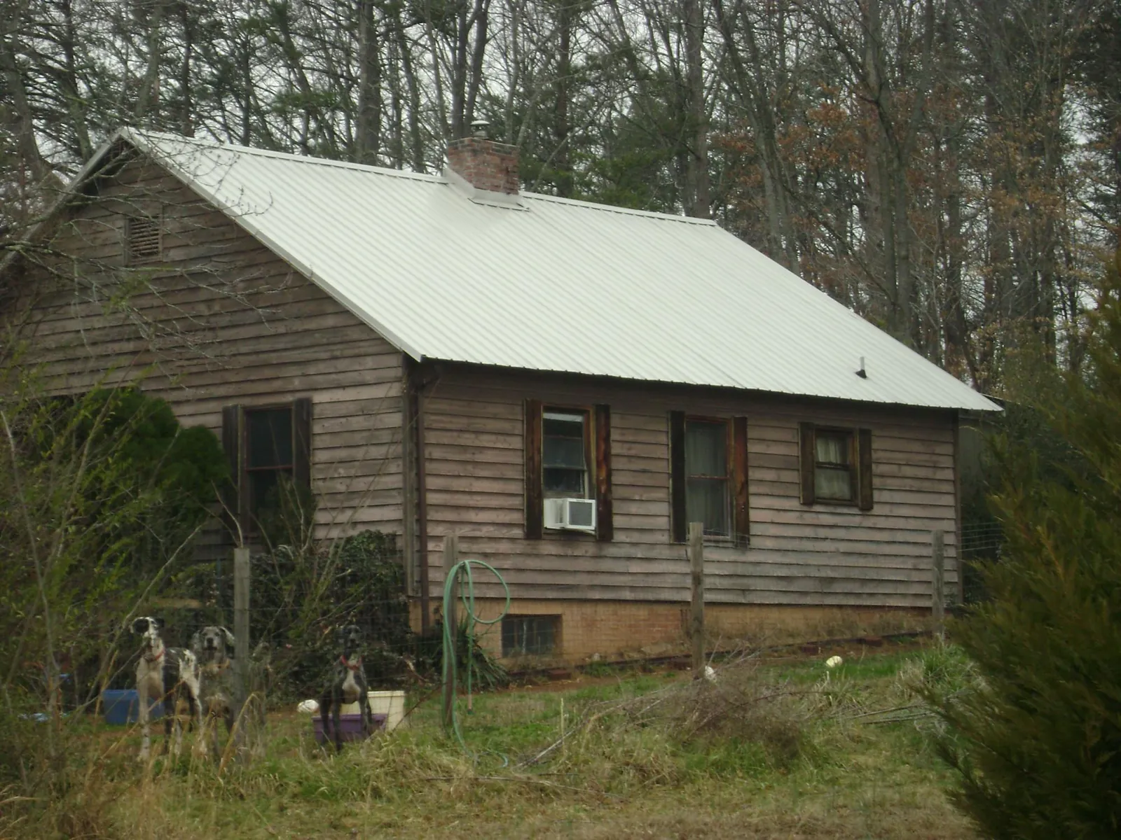 White metal roof on an old wood sided farmhouse, from a Metal Roof Installation job in Chimacum